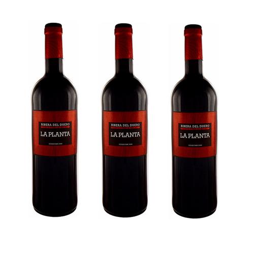 Rượu vang đỏ Arzuaga La Planta 75cl